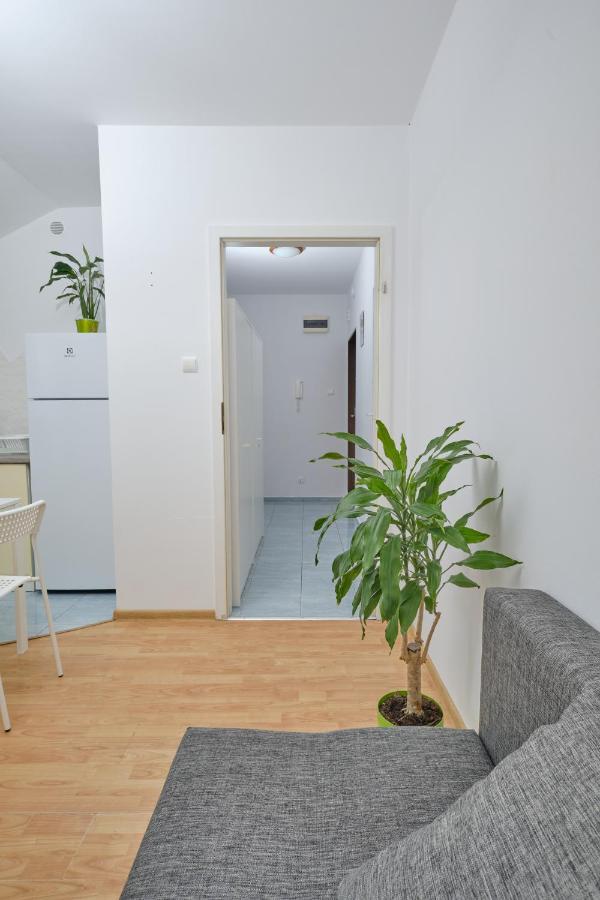 Apartament Sloneczny 7 オポーレ エクステリア 写真