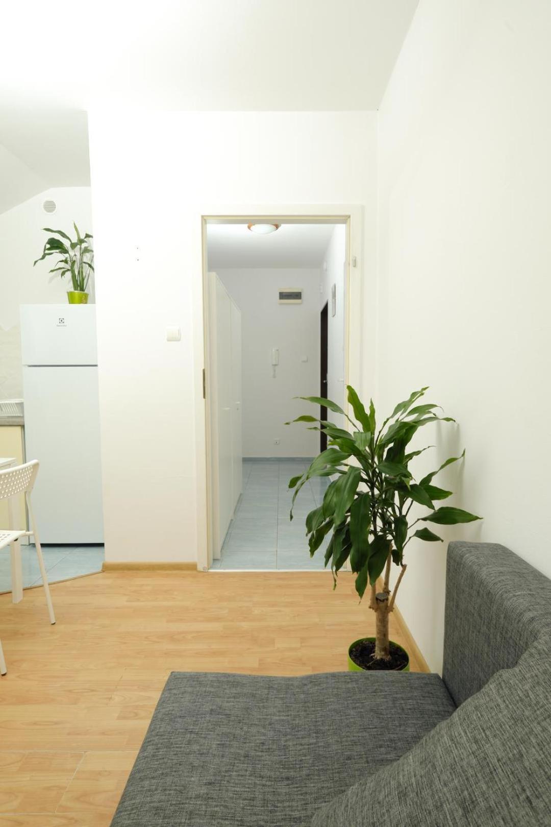 Apartament Sloneczny 7 オポーレ エクステリア 写真